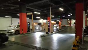 ANPR Access Control Parking Guidance Information System